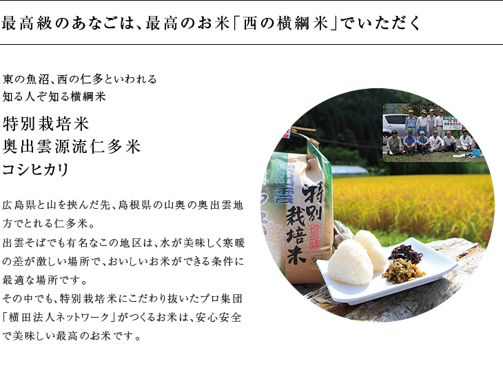 お歳暮ギフト穴子蒲焼あなごめし(あなご飯アナゴ飯穴子飯)