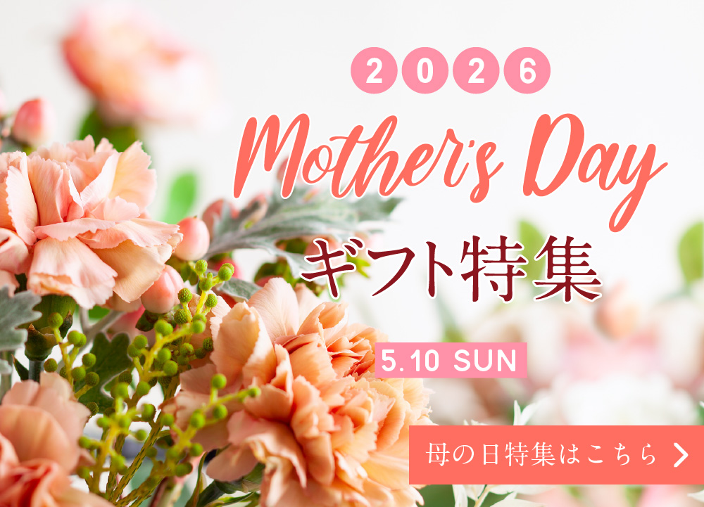 母の日特集2026