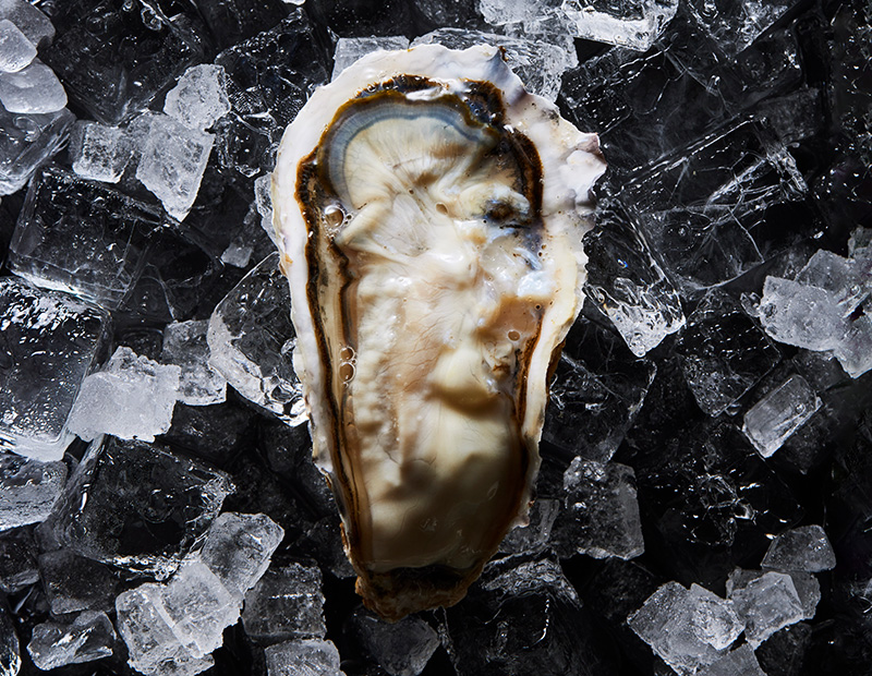 広島県音戸産かきむすめ 殻付き生牡蠣