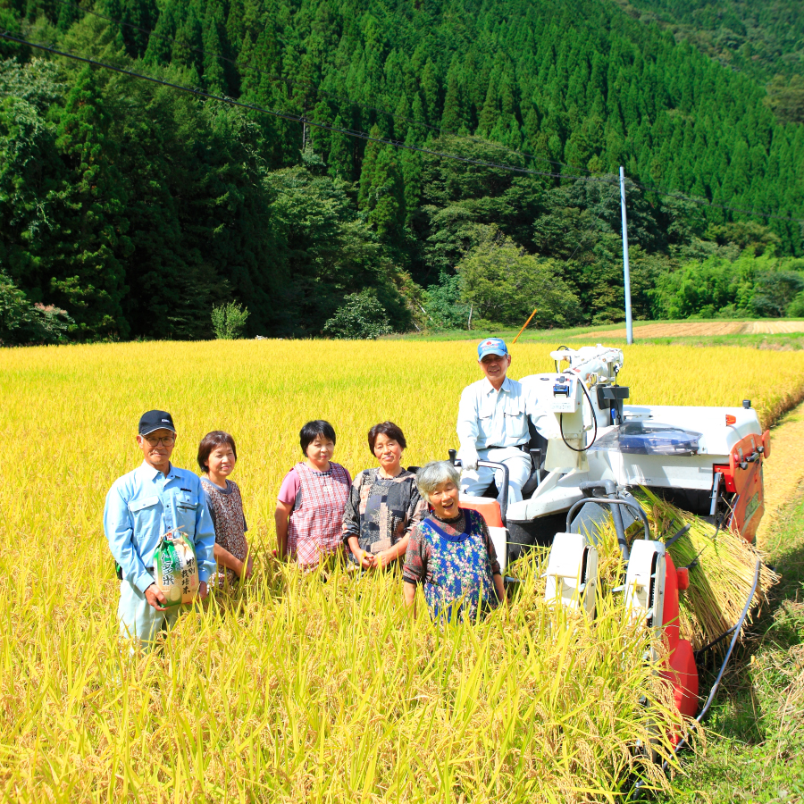令和3年度産 特別栽培米 仁多米コシヒカリ(玄米30kg)10kg×3袋 / 精米 