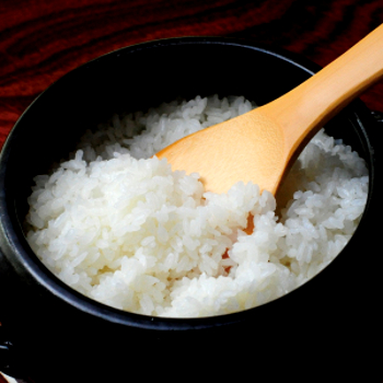 新米 令和5年度産 特別栽培米 仁多米コシヒカリ(玄米1kg) 精米(白米